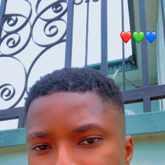 Ikhurhe Osaigbovo Terry-Freelancer in Benin City,Nigeria