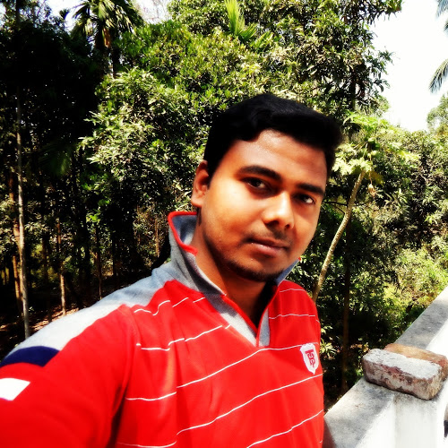 Ranabir Majumder-Freelancer in Birnagar,India