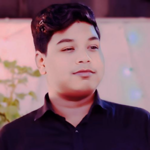 Sarfaraz Hussain-Freelancer in Patna,India