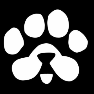 Soyab Aktar-Freelancer in Kolkata,India