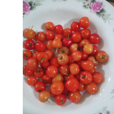 Mohamed Irham-Freelancer in Colombo,Sri Lanka