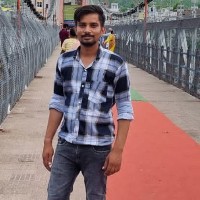 Ratan Singh-Freelancer in Indore Division,India