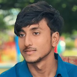 Afiul Hasnat Joy-Freelancer in Rajshahi,Bangladesh