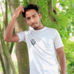 Md Niloy Hasan-Freelancer in Rajshahi,Bangladesh