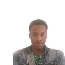 cheickne samake-Freelancer in bamako,Mali