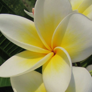 Prekshita Reddy-Freelancer in Bengaluru,India