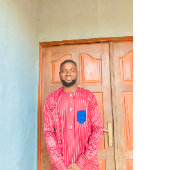 Habeeb Lawal-Freelancer in Lagos,Nigeria