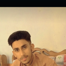 Raja Ahmad-Freelancer in Sari Alamgir,Pakistan