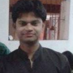 Vishal Paunikar-Freelancer in Nagpur,India