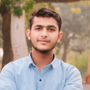 Mohammad Yasir-Freelancer in Moradabad,India