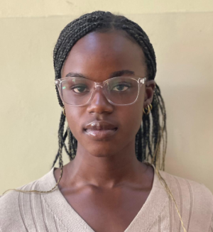 Namutewe Siame-Freelancer in Lusaka,Zambia