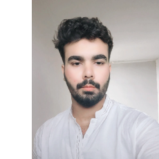 Wasiq Shoaib-Freelancer in Karachi,Pakistan