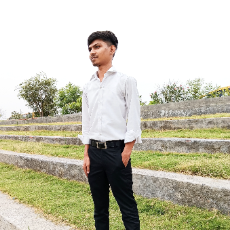 Kuldeep Singh-Freelancer in Faridabad,India