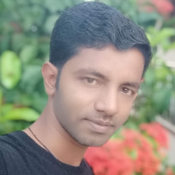 Srinivasan K-Freelancer in Chennai,India