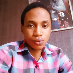 Opeyemi Adedotun-Freelancer in Ilorin, Kwara State, Nigeria,Nigeria