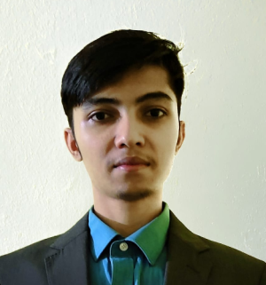 Md Tajdar Alam Ansari-Freelancer in Bengaluru,India