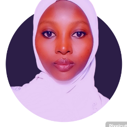 Aisha Bello-Freelancer in Birnin kebbi,Nigeria