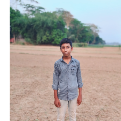 Mohammad Saim-Freelancer in Ramzanpur,Bangladesh