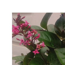 Bhavani Chinki-Freelancer in Hyderabad,India