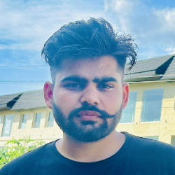 Parveen Kumar-Freelancer in india,India