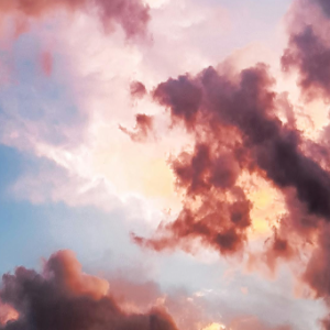 Merica Van Jaarsveld-Freelancer in Vaalwater,South Africa