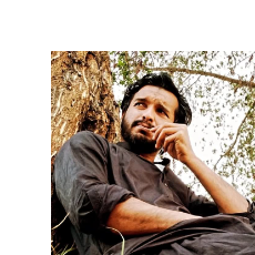 Syed Dilawar Ali Naqi Gillani-Freelancer in Muzaffargarh,Pakistan