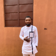 Olayinka Odusanwo-Freelancer in Lagos,Nigeria
