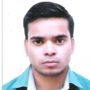Vikas Kumar-Freelancer in Greater Noida,India
