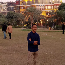 Ali Malik-Freelancer in Harīpur,Pakistan