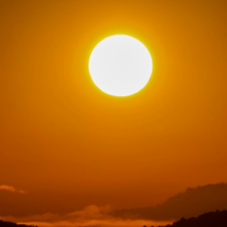 Dhurka Manchukan-Freelancer in Colombo,Sri Lanka