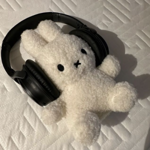 Snehil Pant-Freelancer in Almora,India