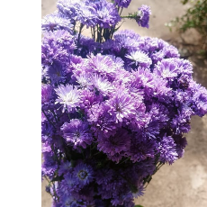 Nallijohnsatya-Freelancer in Hyderabad,India