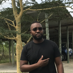 Suneid Gomes-Freelancer in Maputo,Mozambique