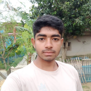 Mashrikul Alom-Freelancer in Bogra,Bangladesh