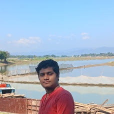 Rudro Sarkar-Freelancer in Dhaka,Bangladesh