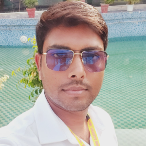 Harishankar Kumar-Freelancer in Sitamarhi,India