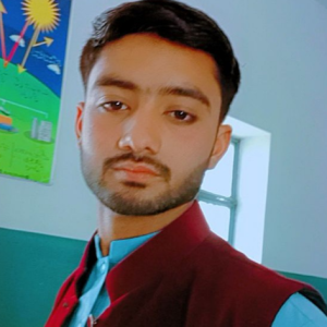 Usman-Freelancer in dunyapur,Pakistan