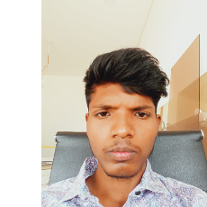 Ankeshwar Mandavi-Freelancer in Ambagarh Chowki,India