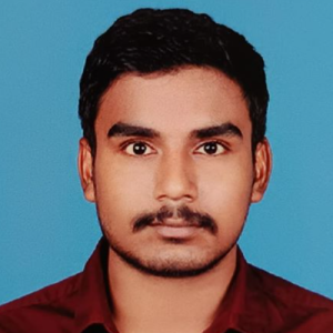 Rahul Meena-Freelancer in Kozhikode,India
