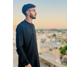 Raja Taha-Freelancer in Choa saiden shah,Pakistan