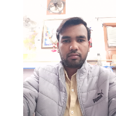 Ravi Kumar-Freelancer in SIRSA,India