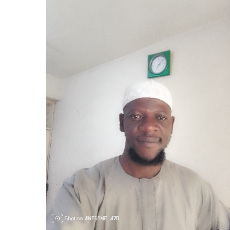 Al-Gambari Daud-Freelancer in Ilorin East,Nigeria