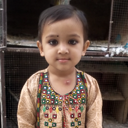 Hamza Hanif-Freelancer in Karachi,Pakistan