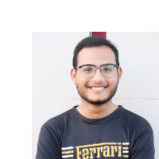 Hammad Ali-Freelancer in DUNYAPUR,Pakistan