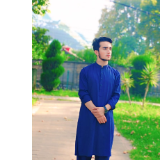 Syed Adeel Shah-Freelancer in Islamabad,Pakistan