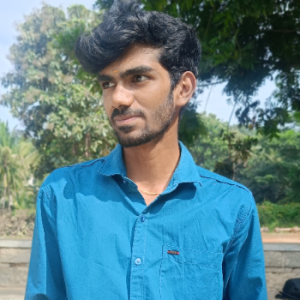 Praveen V-Freelancer in Bengaluru,India