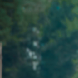 Akbar Hossen-Freelancer in Dhaka,Bangladesh