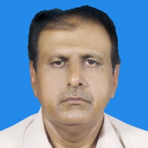 M Ammar Amjad-Freelancer in ,Pakistan
