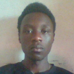Emmanuel Goma-Freelancer in Lusaka,Zambia