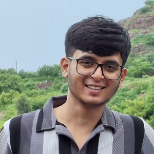 Rahul Yadav-Freelancer in Pali, Rajasthan,India